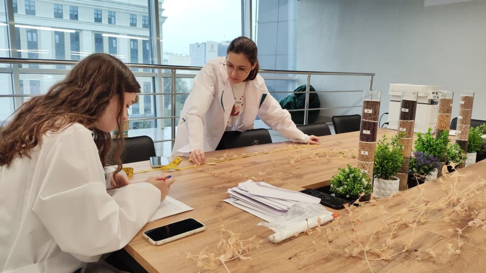 В лаборатории БашГАУ вырастили перспективные гибриды гороха