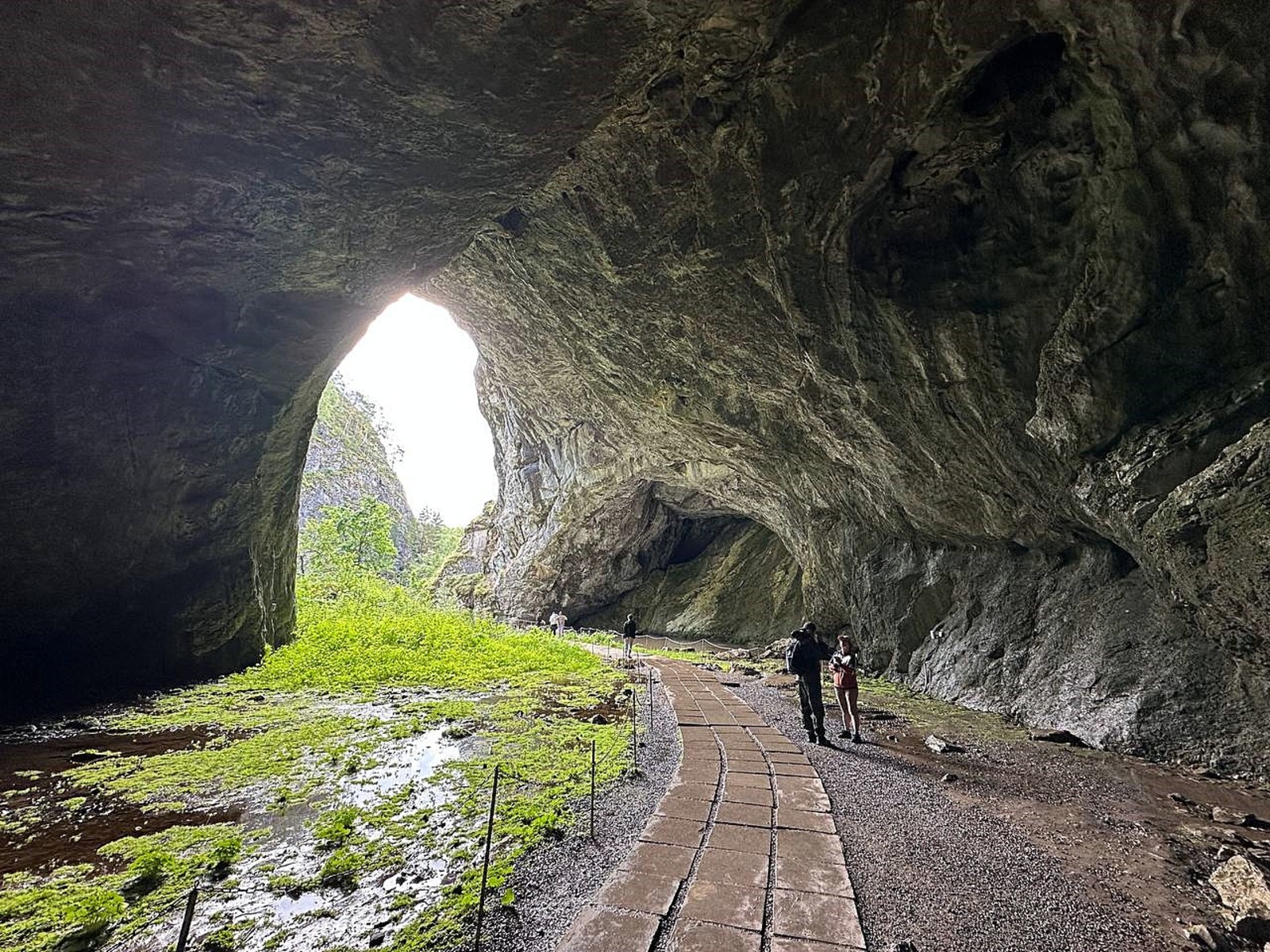 автора Шульган-Таш получил мировое признание.
