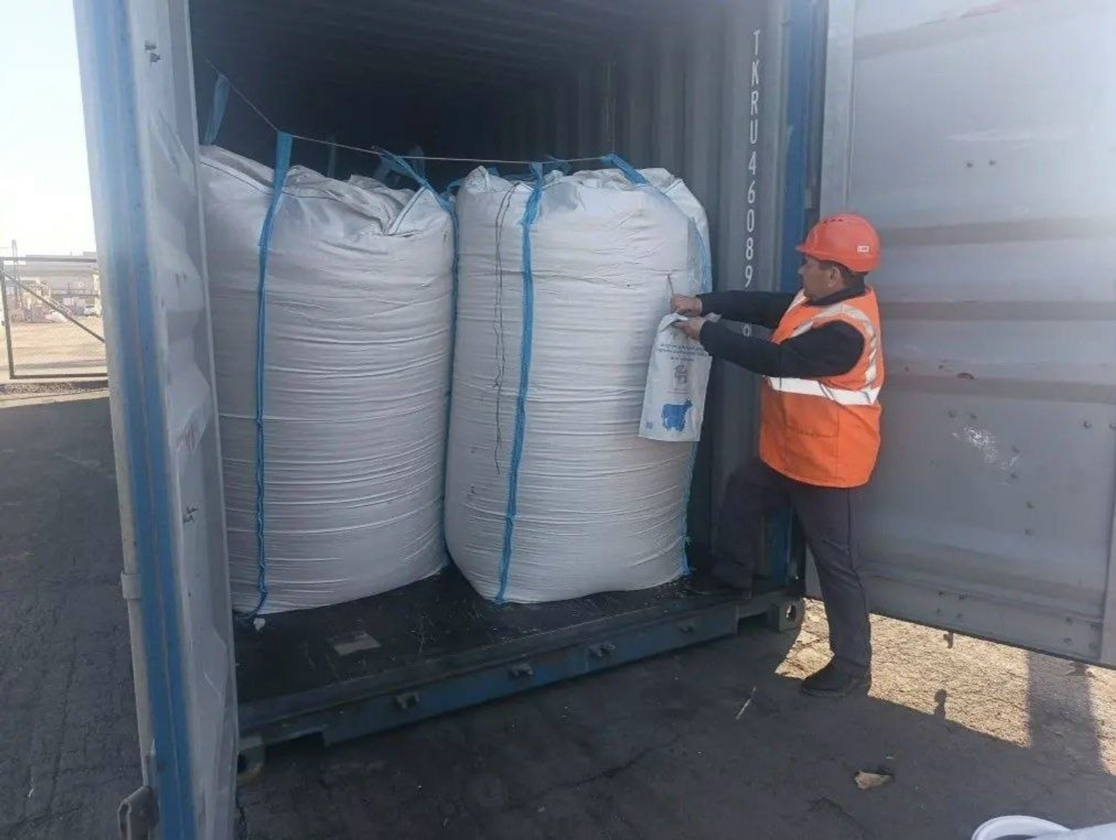 Башкирские аграрии впервые экспортировали в Китай продовольственный овёс