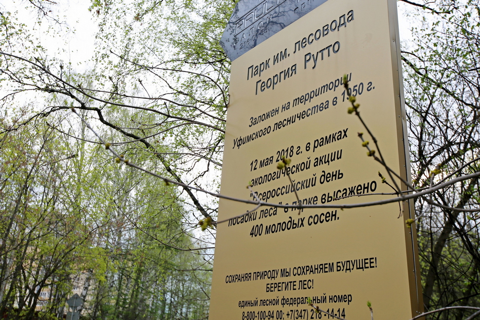 В Уфе благоустроят дендропарк имени лесовода Георгия Рутто