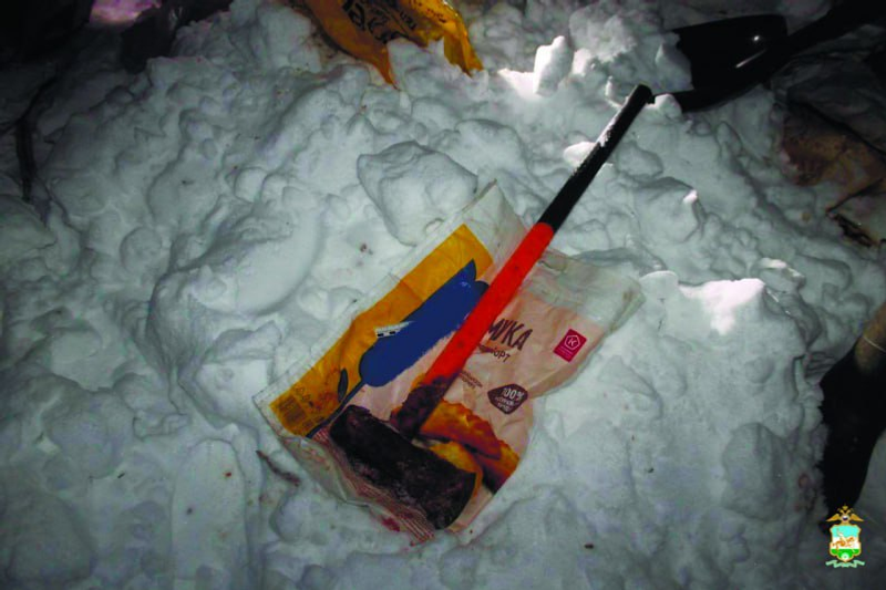 В Башкирии двое охотников, оставшись без добычи, застрелили и разделали лошадь