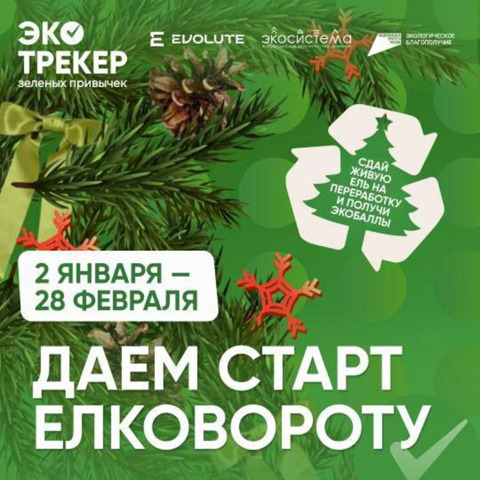 В Башкирии предложили сдавать ёлки уже на второй день нового года