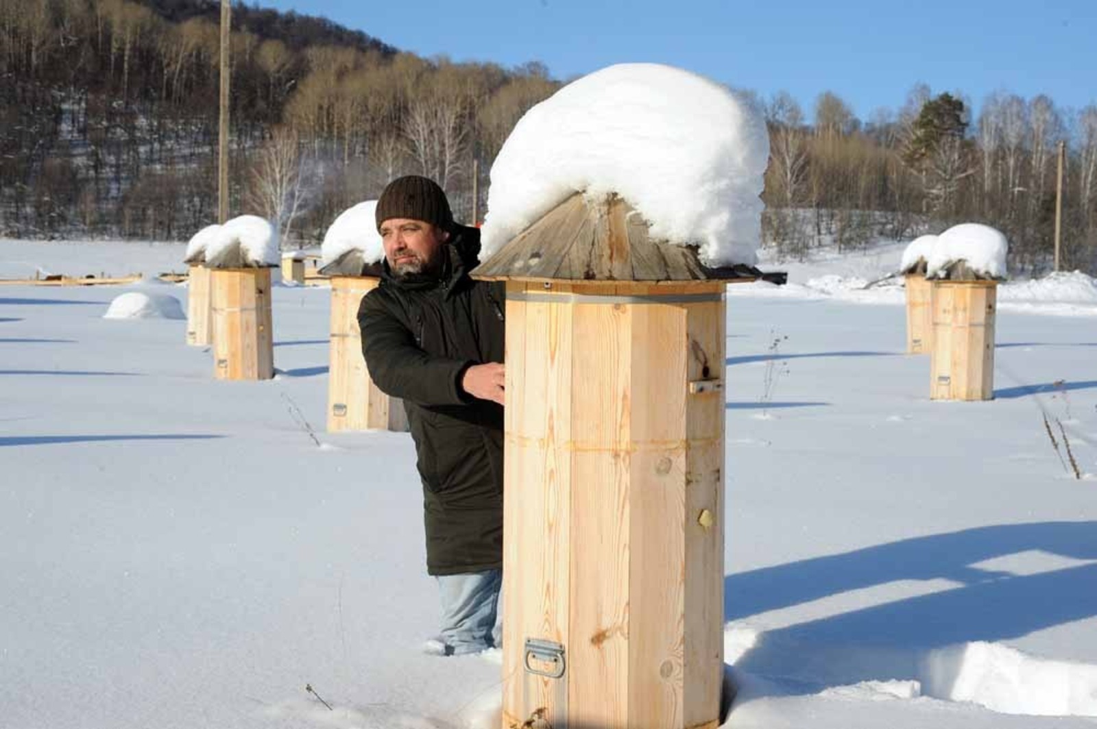 Ринат РАЗАПОВ  Самый натуральный мед добывают на пасеке с бортями и колодами, считает Руслан Гумеров.