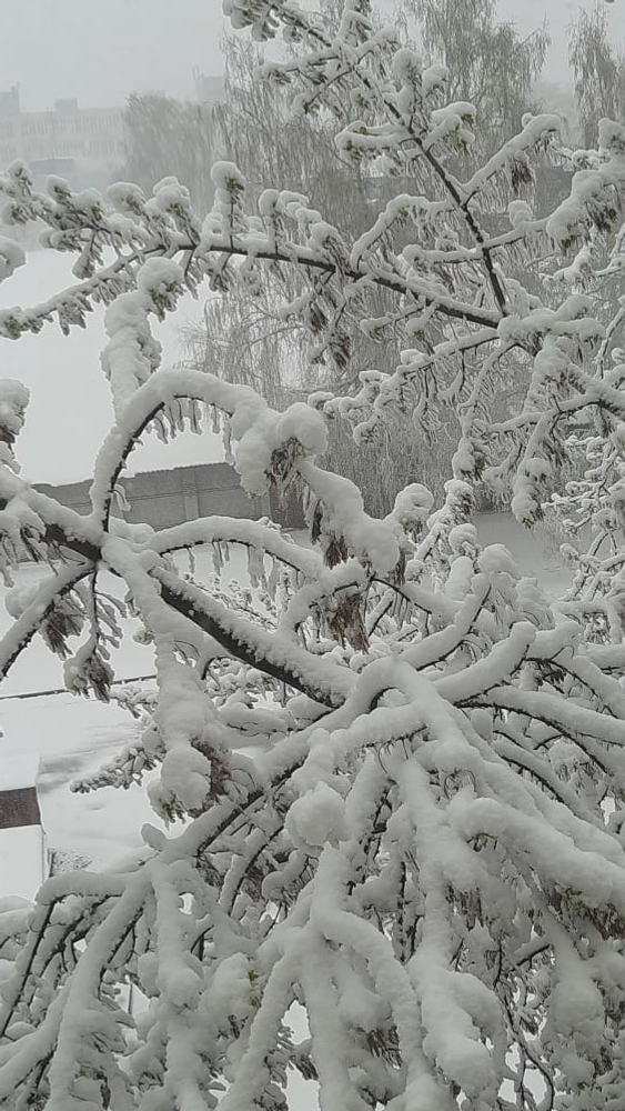Московские снегопады до Башкирии в апреле не доберутся