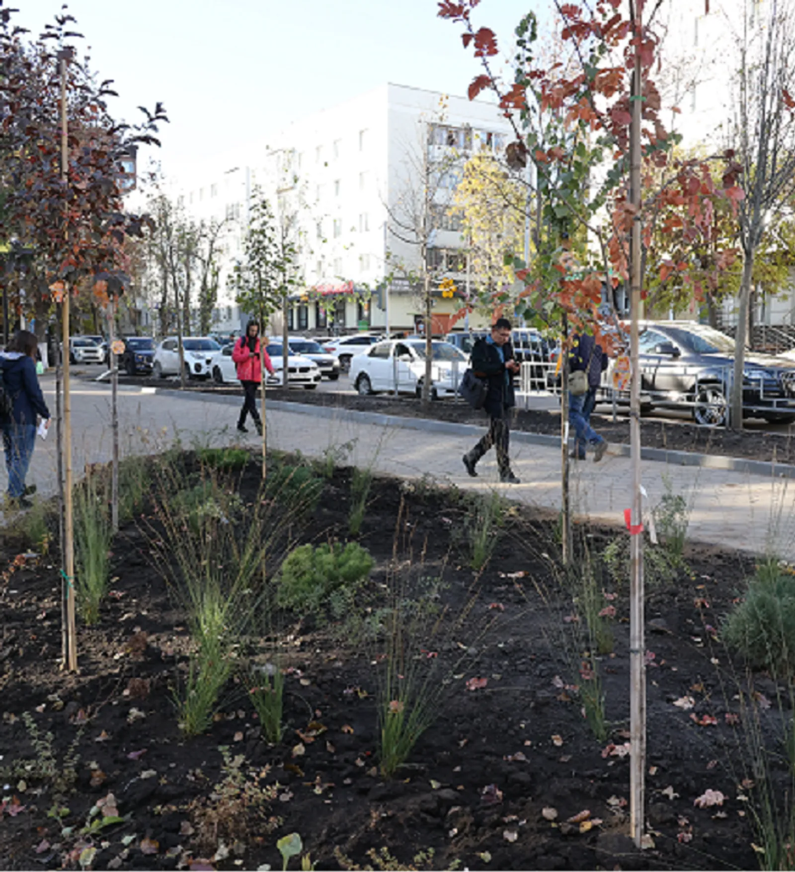 Александр ДАНИЛОВ.