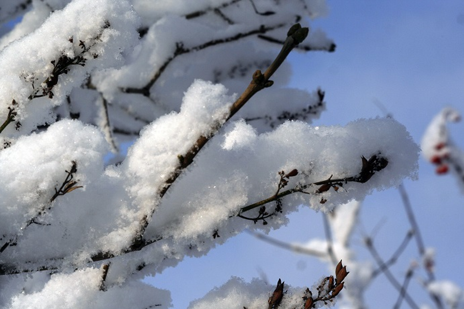 Министерство ЖКХ Башкирии переходит на штабной режим