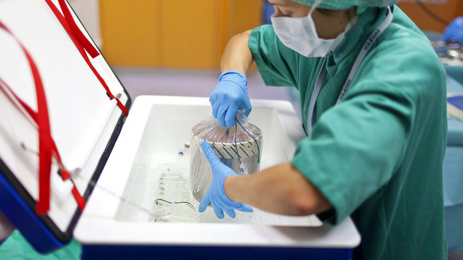 В Башкирии обсудят новые правила донорства и трансплантации органов