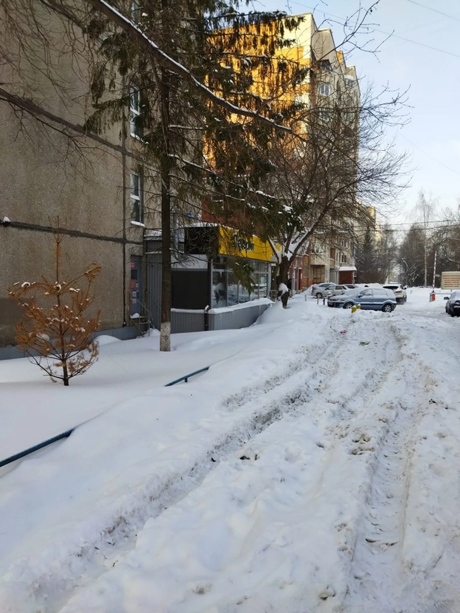 Галина ТРЯСКИНА.