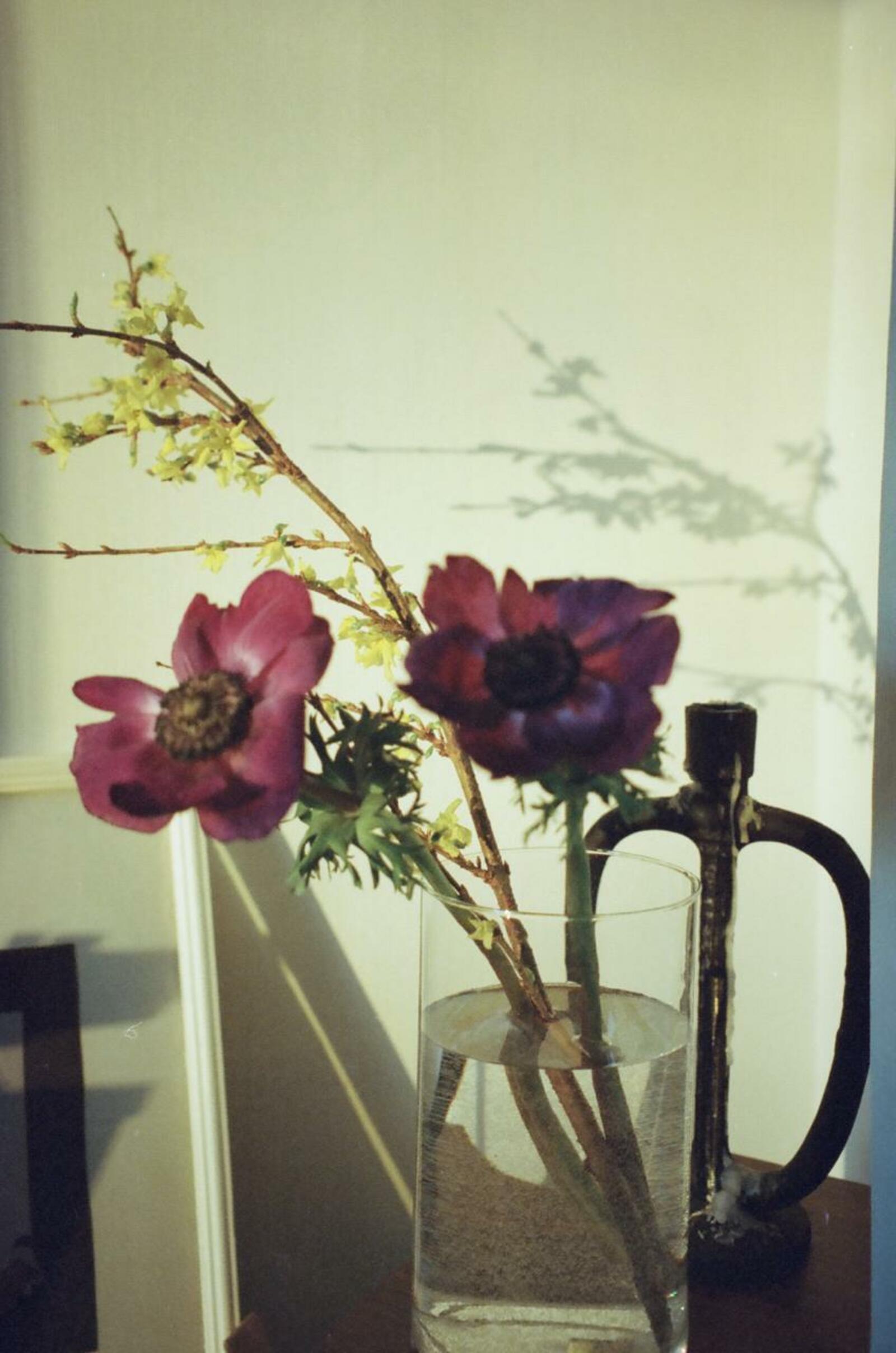 Александр Кобыскан: Невзирая на суету буден, женщина дарит красоту и жизнь