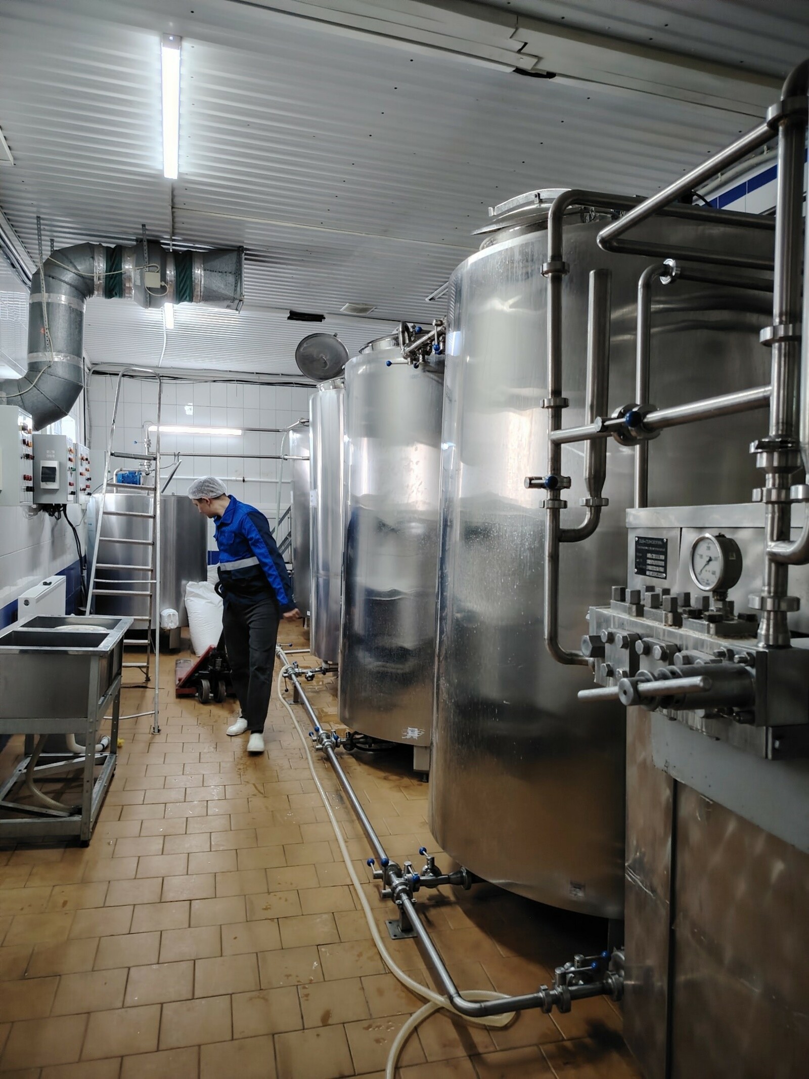 В Башкирии нацпроект поможет производить больше кумыса