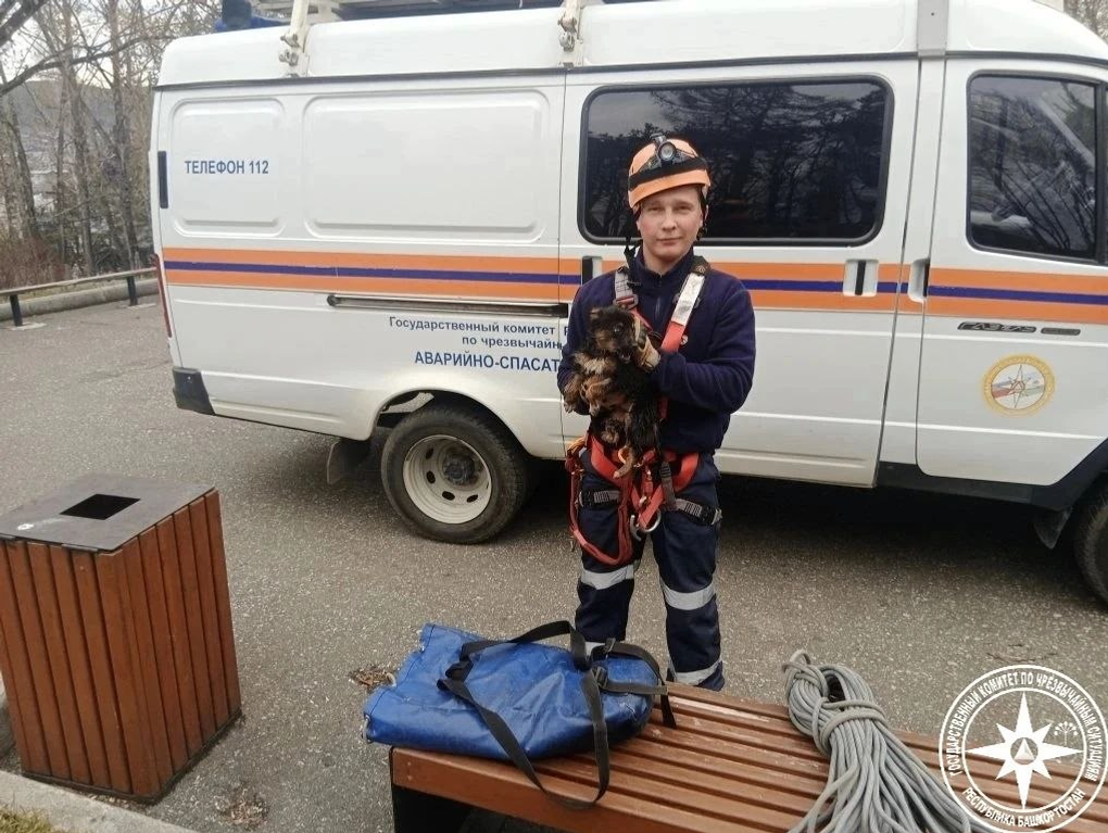 Кирилл Первов рассказал историю спасения щенка со скал в Белорецке. Как в кино