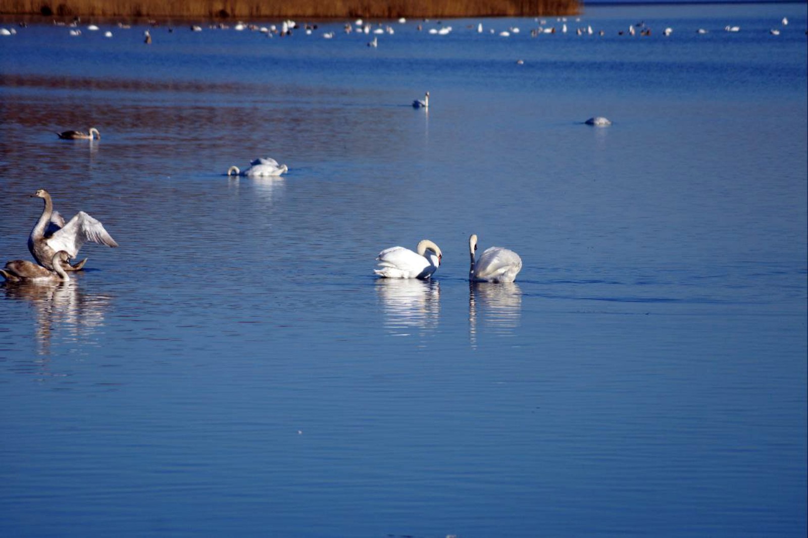 Ирина САБИРОВА  Немного отдохнем — и в путь!