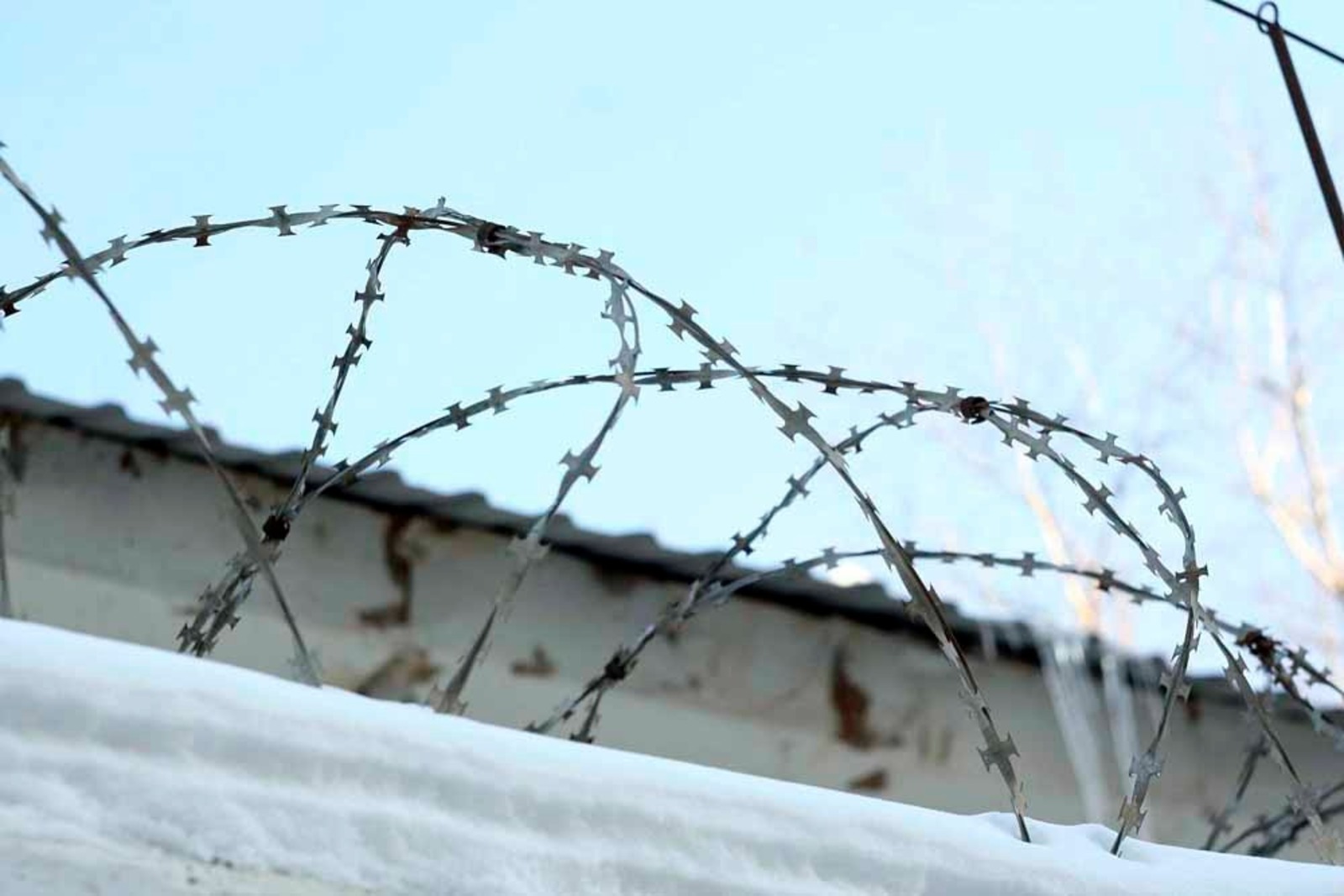 Евгений СОКОЛОВ