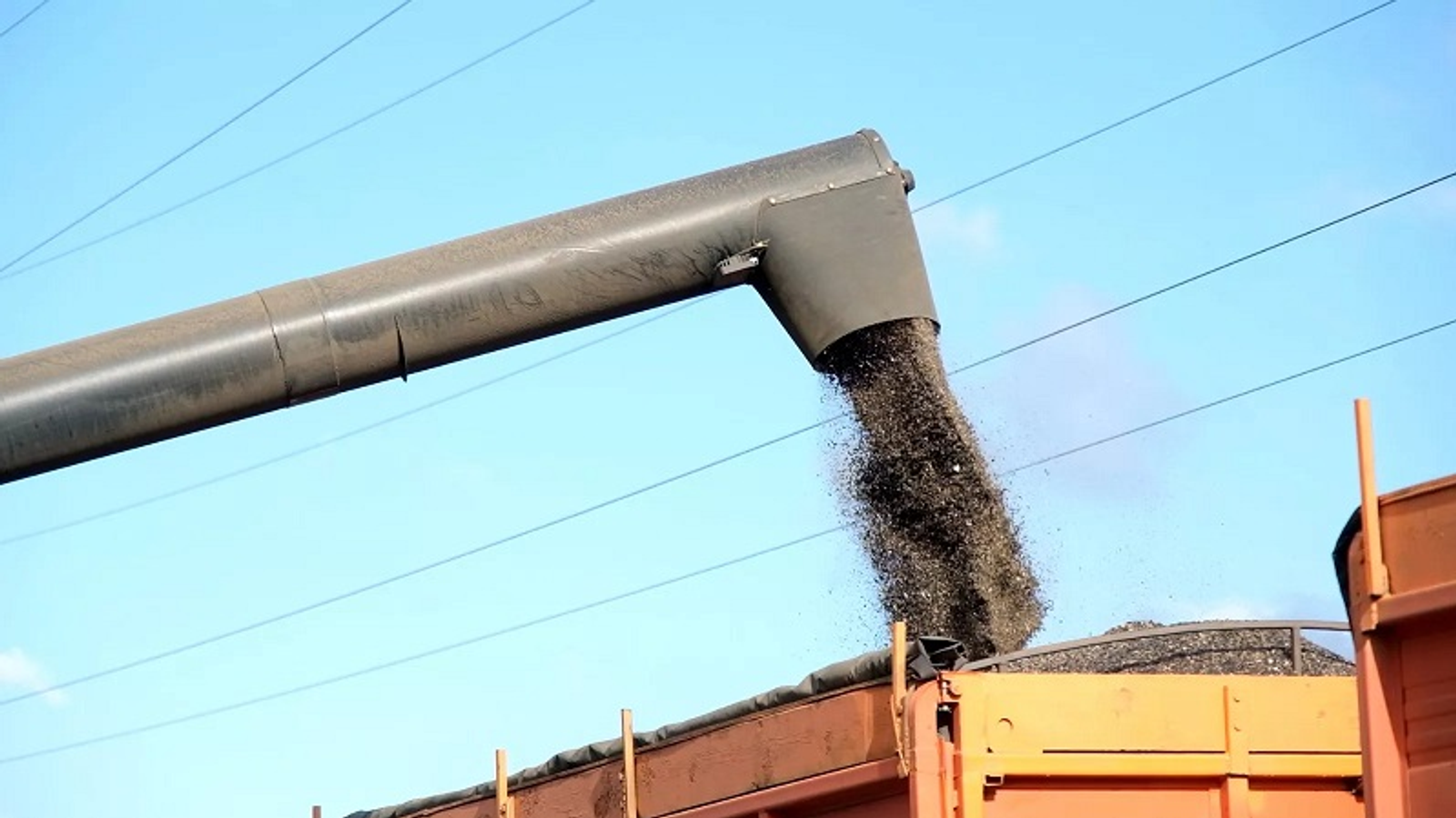 В Башкирии собрали 820 тысяч тонн масличных культур