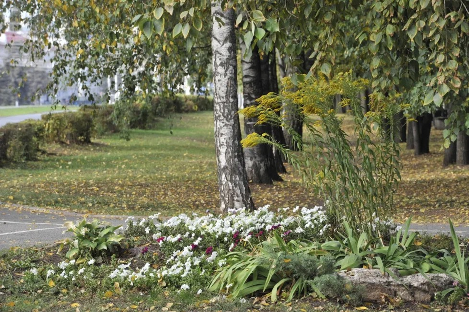 Альберт ЗАГИРОВ.