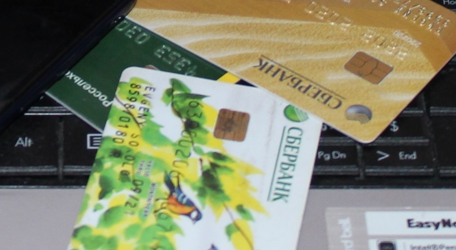 За сутки жители Башкирии отдали мошенникам 20 миллионов рублей