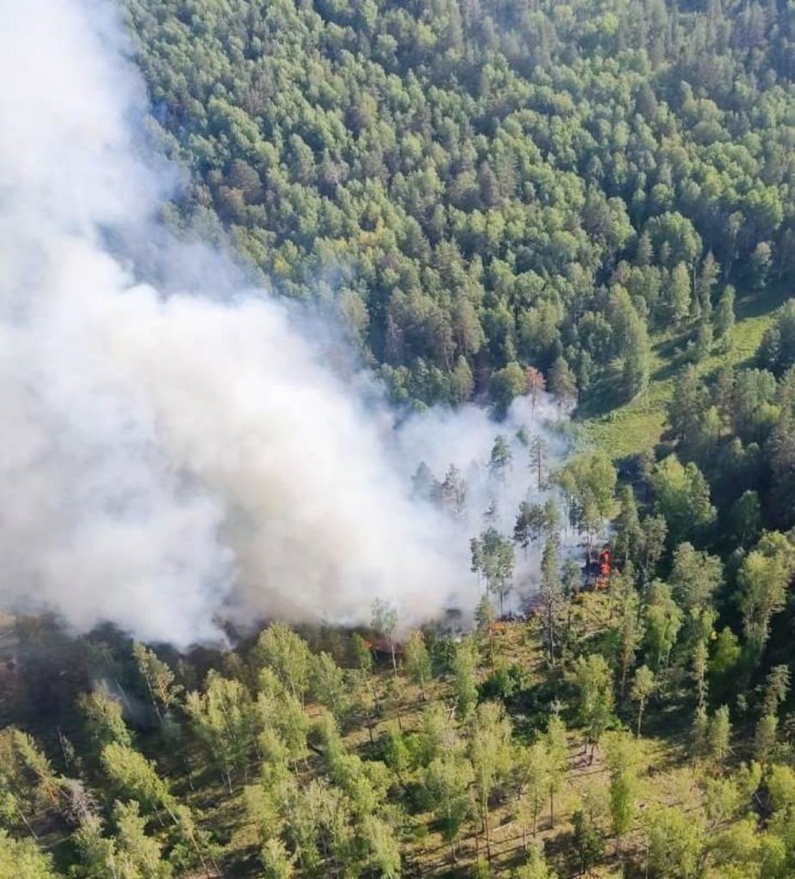 Природных пожаров за выходные в Башкирии не произошло