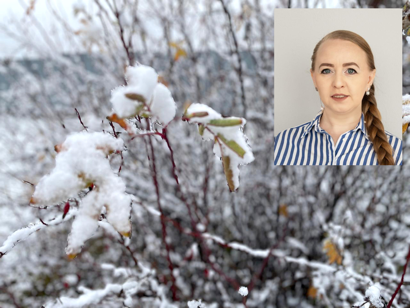 Эксперт Уфимского университета рассказала о ноябрьских погодных аномалиях