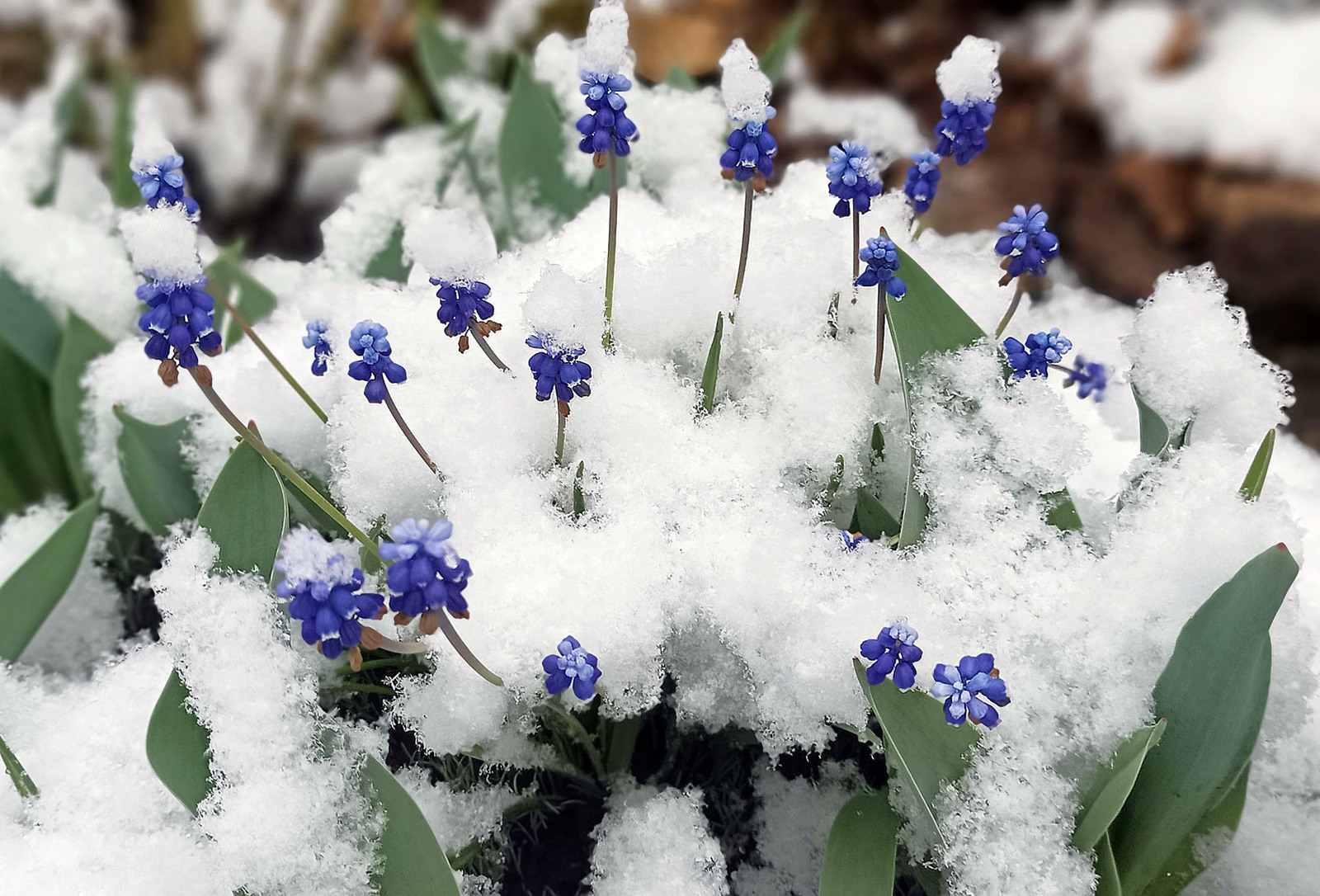 Башкирию ждут ледяной дождь и снежные заносы
