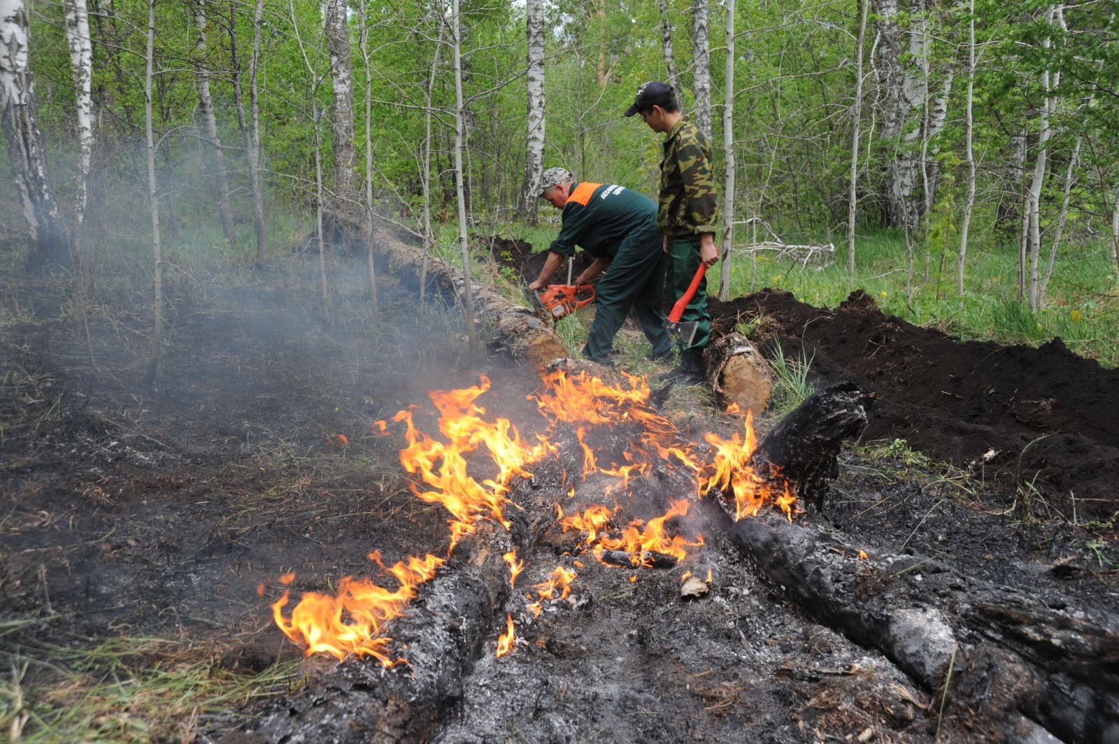 Ринат РАЗАПОВ  Министерство лесного хозяйства: В Башкирии начался пожароопасный сезон
