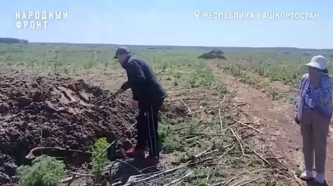 скриншот видео