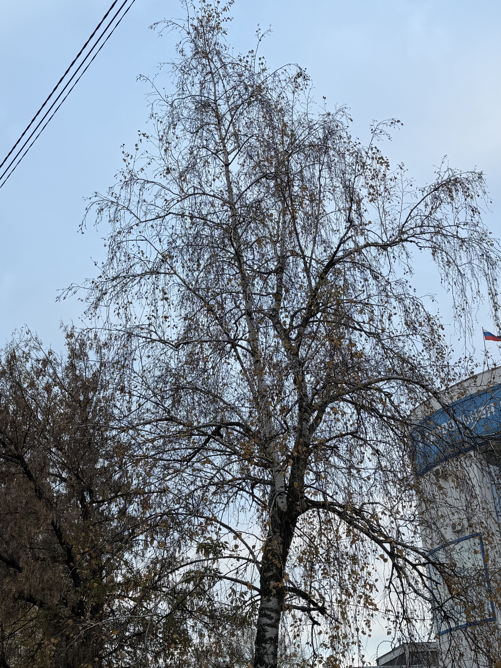 В Башкирии синоптики обещают снег