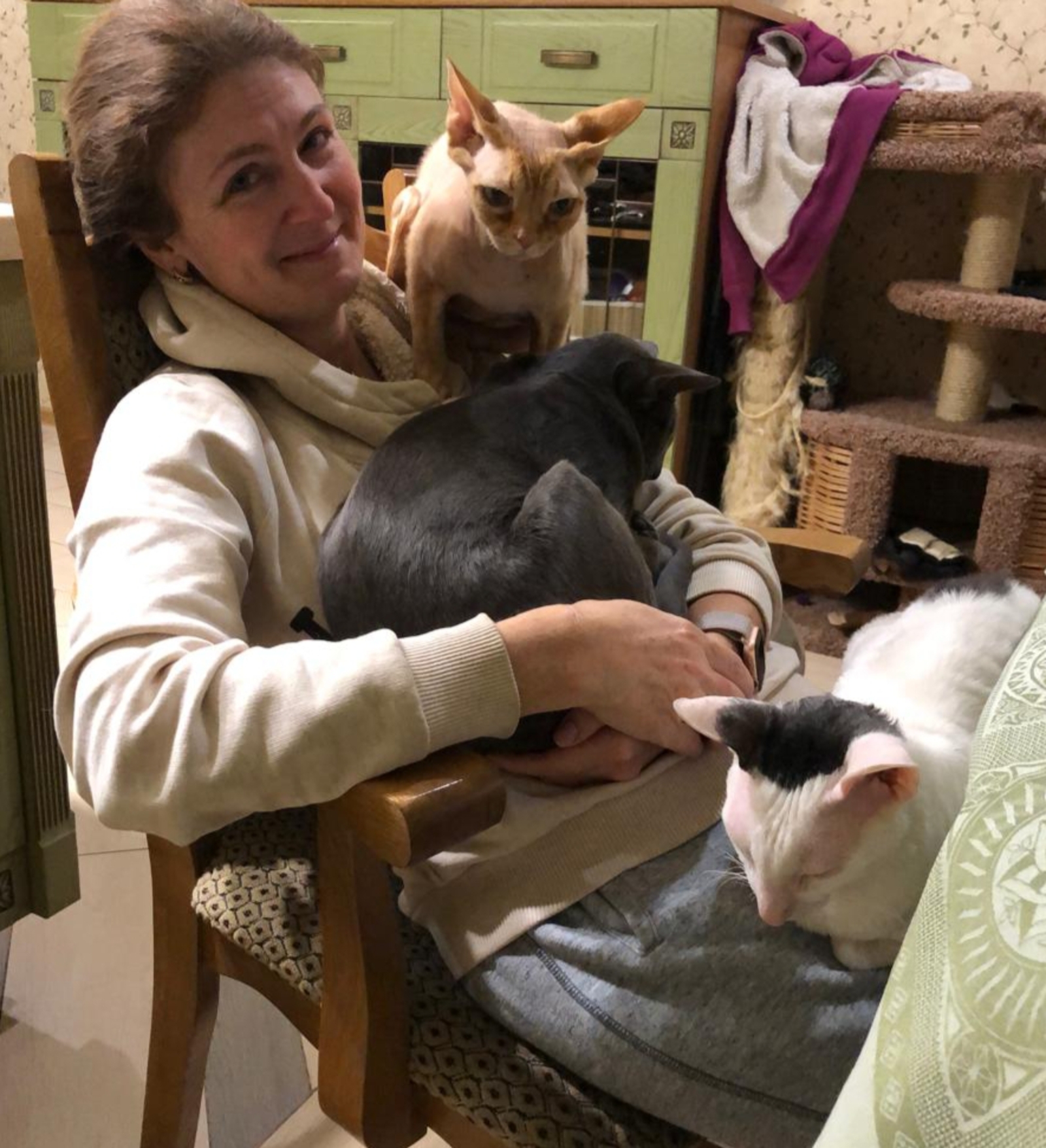 Эльвира МИРГАЛЯМОВА Каждый котик становится членом семьи, и от этого на душе покой и радость.