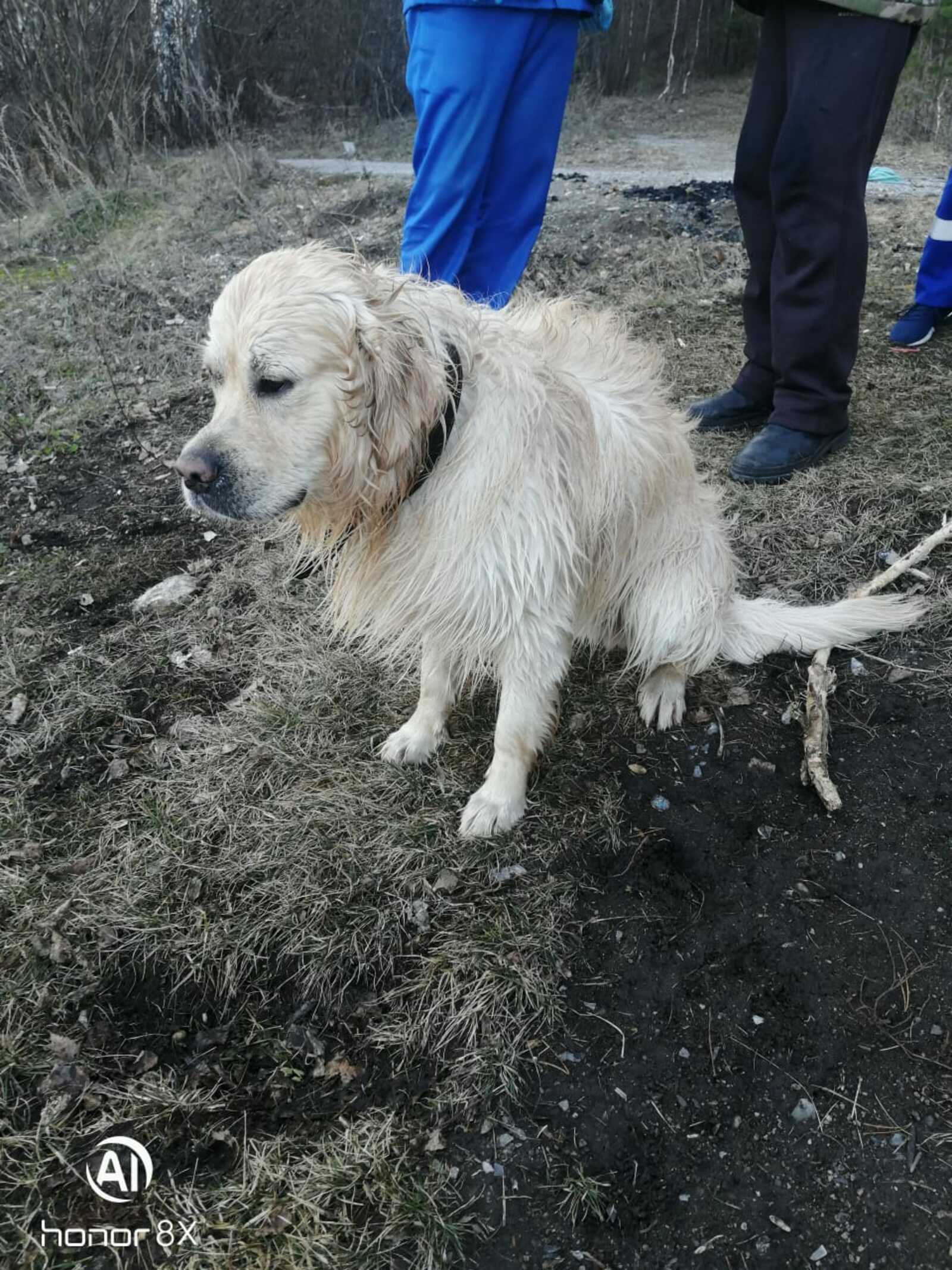 В Башкирии спасатели вытащили из воды собаку, а женщину не успели...