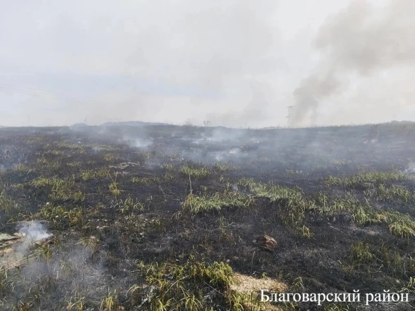 В Башкирии за сутки зарегистрированы три загорания сухой растительности