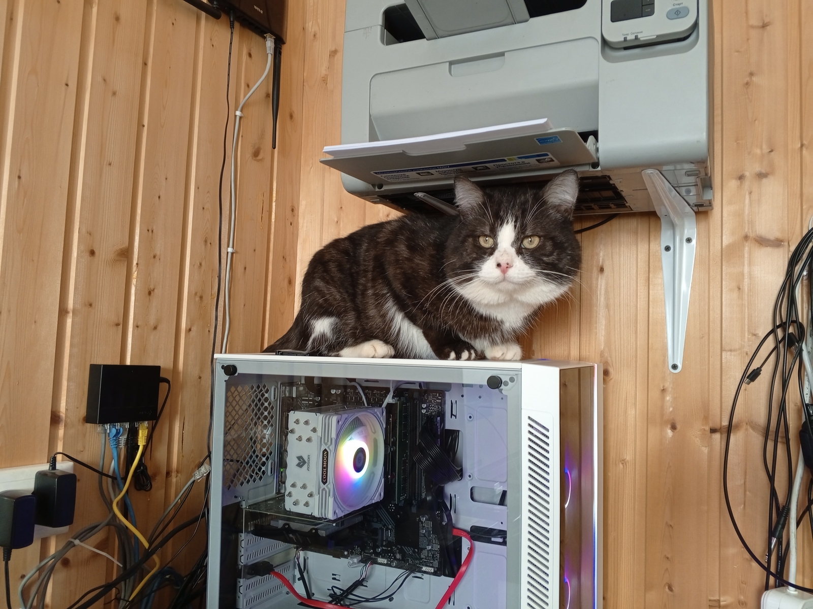 В Калининском районе Уфы ввели карантин по бешенству