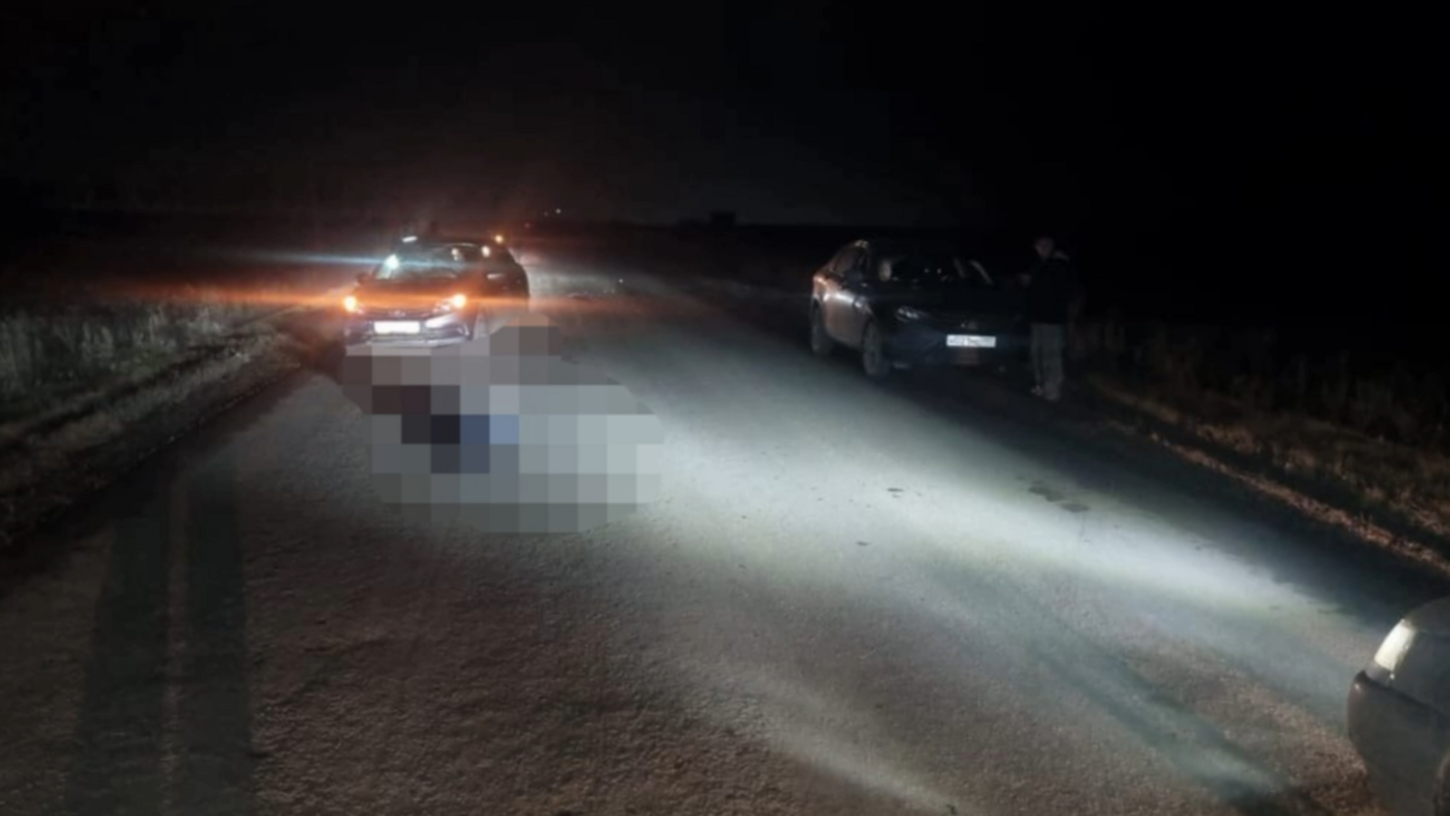 В Башкирии задавили пешехода