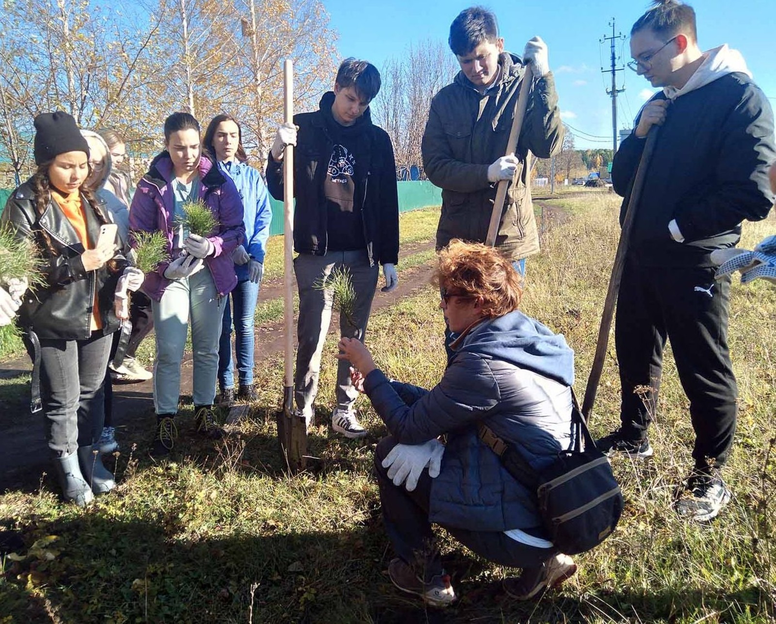 автора Рина Гринберг показала студентам УГНТУ, как правильно сажать двухлетние сосенки.