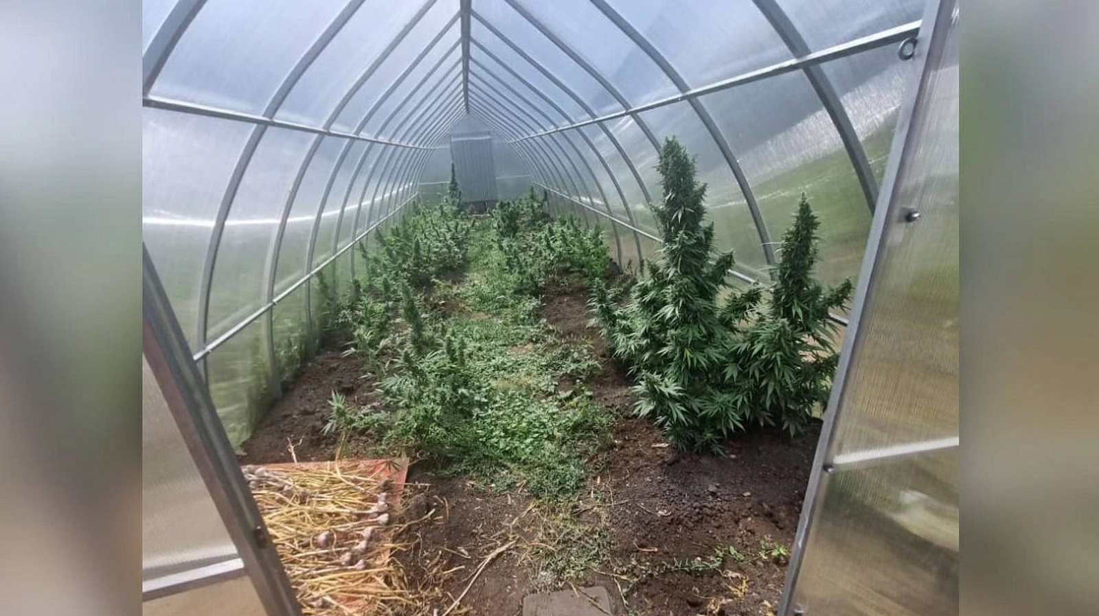 Фото и видео пресс-службы МВД по РБ.