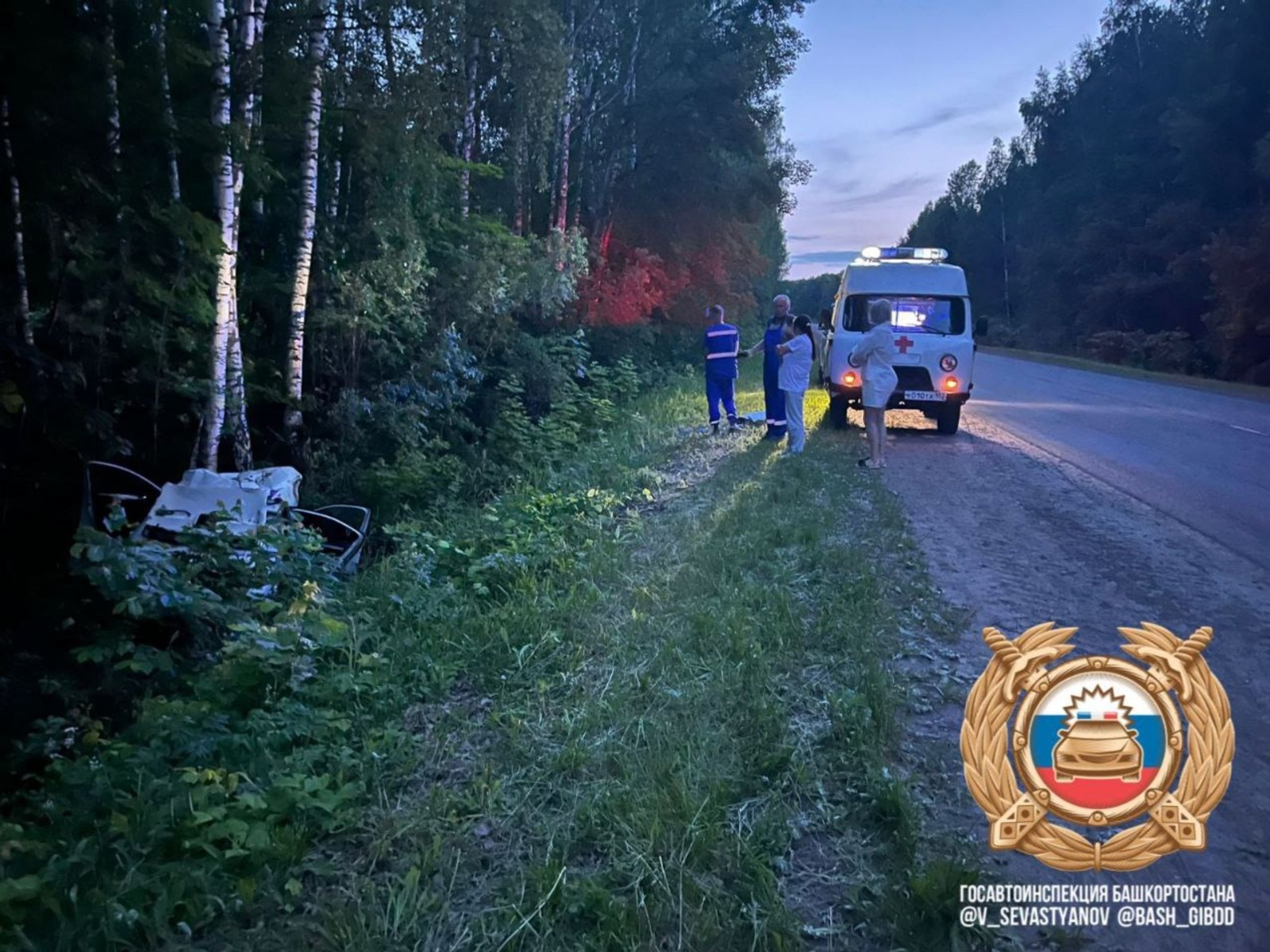 В Башкирии автомобиль столкнулся с лосём