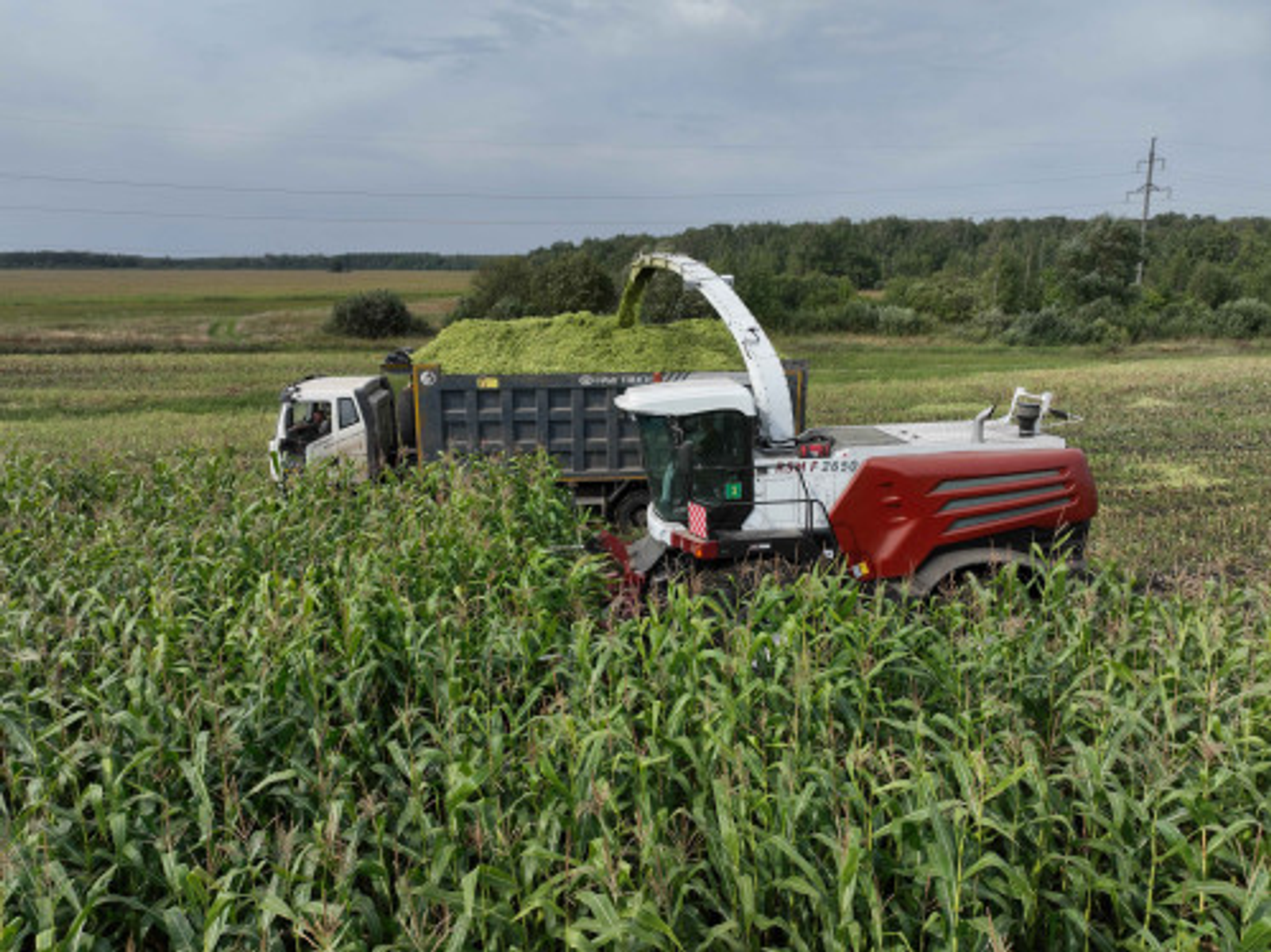 Аграрии Башкирии закупили 1335 единиц сельскохозяйственной техники