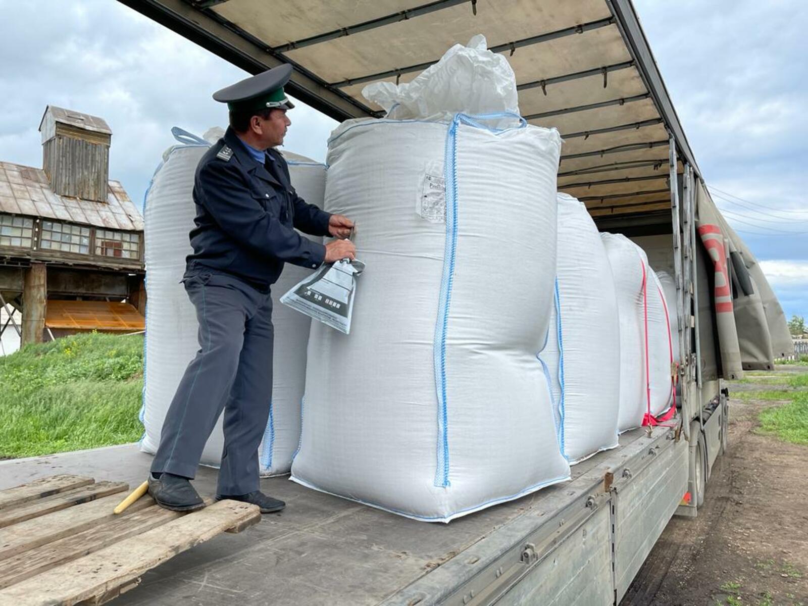 Башкирия нарастила объемы экспорта зерна