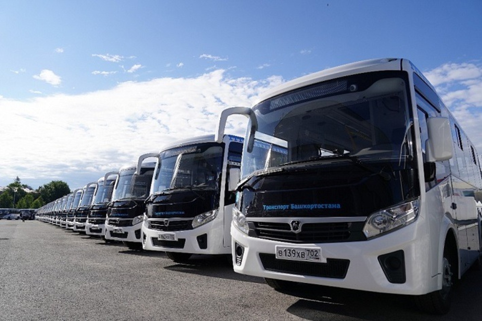 Альберт ЗАГИРОВ.