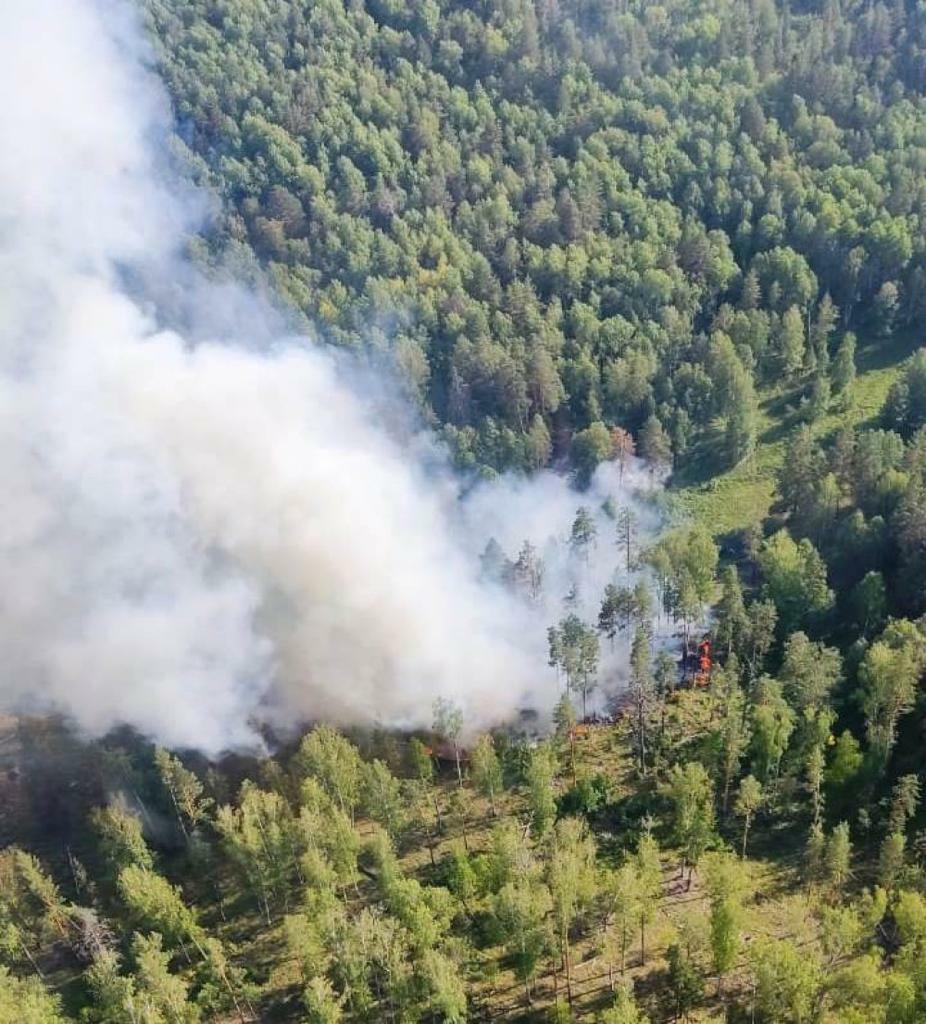 Башкирия вошла в пятерку лучших регионов России по борьбе с лесными пожарами