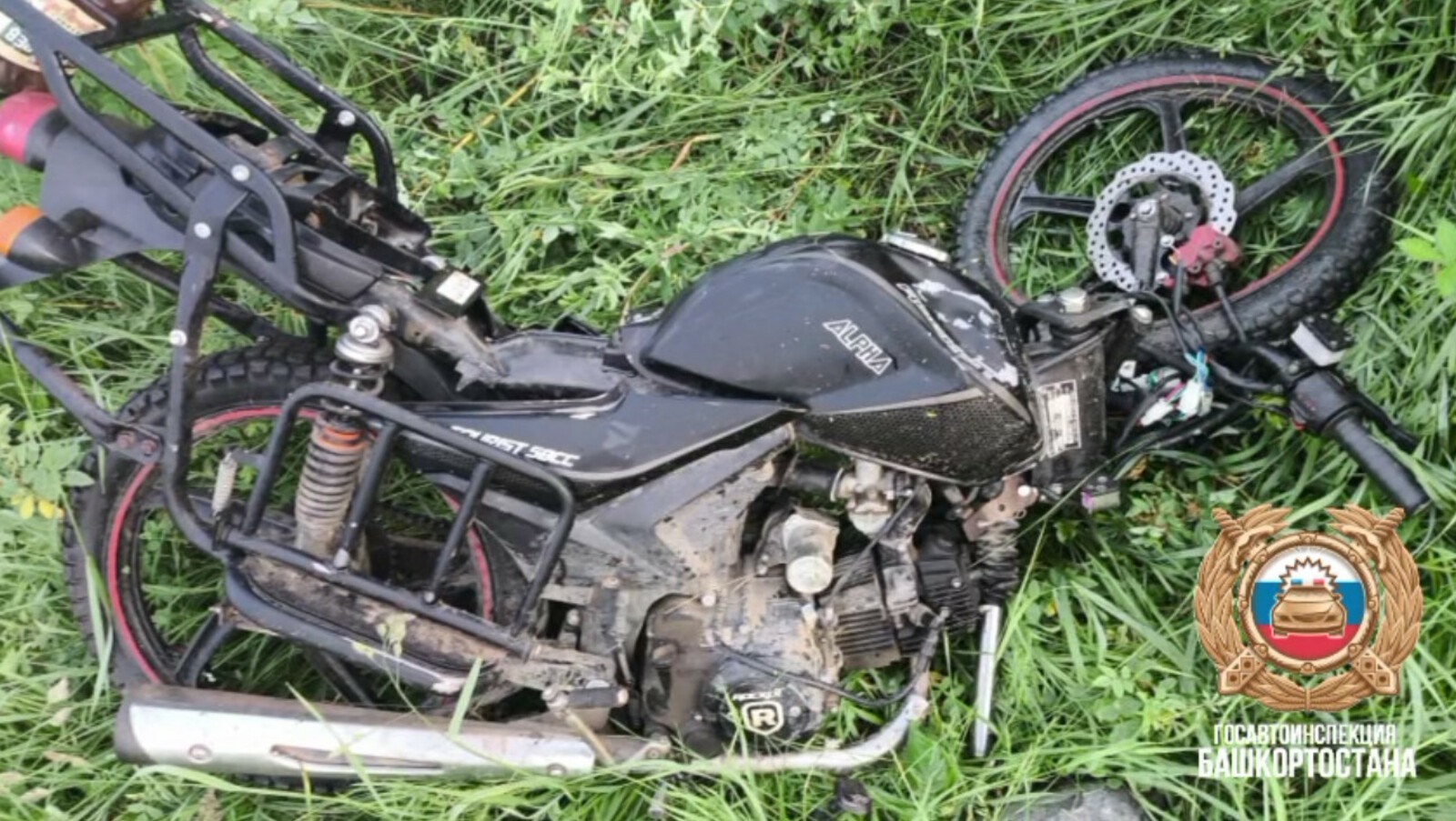 скриншот видео