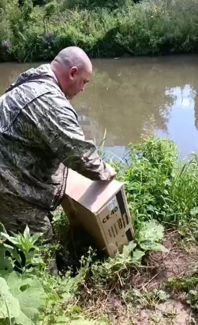 пресс-служба министерства природопользования и экологии РБ