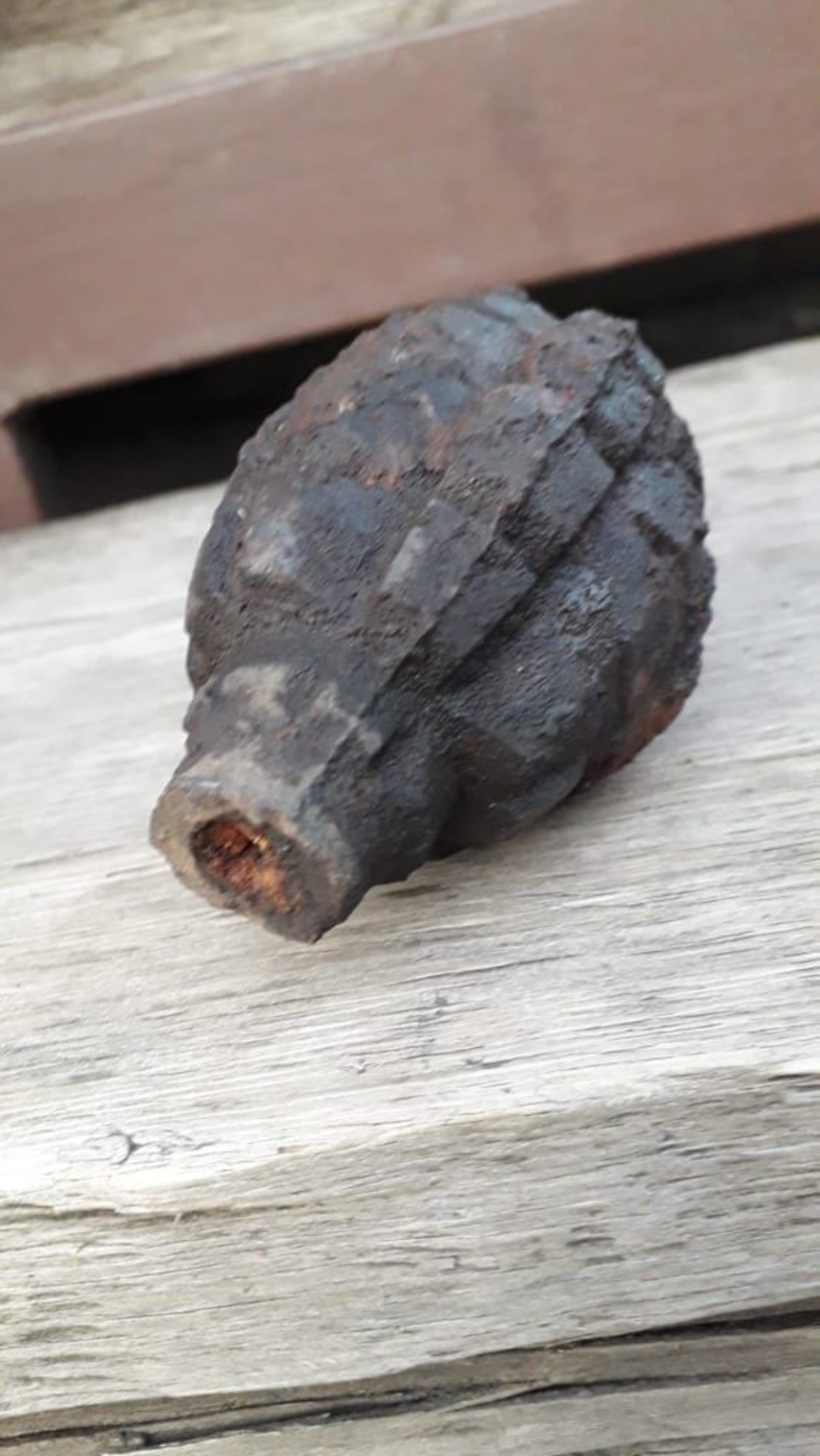 В Башкирии у себя в огороде бабушка выкопала гранату