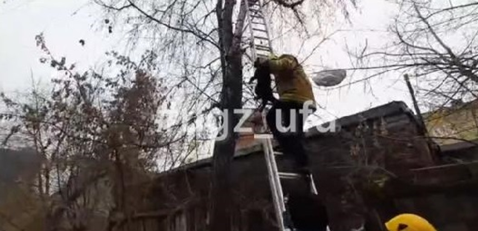 В Уфе спасатели сняли кошку с 6-метровой высоты
