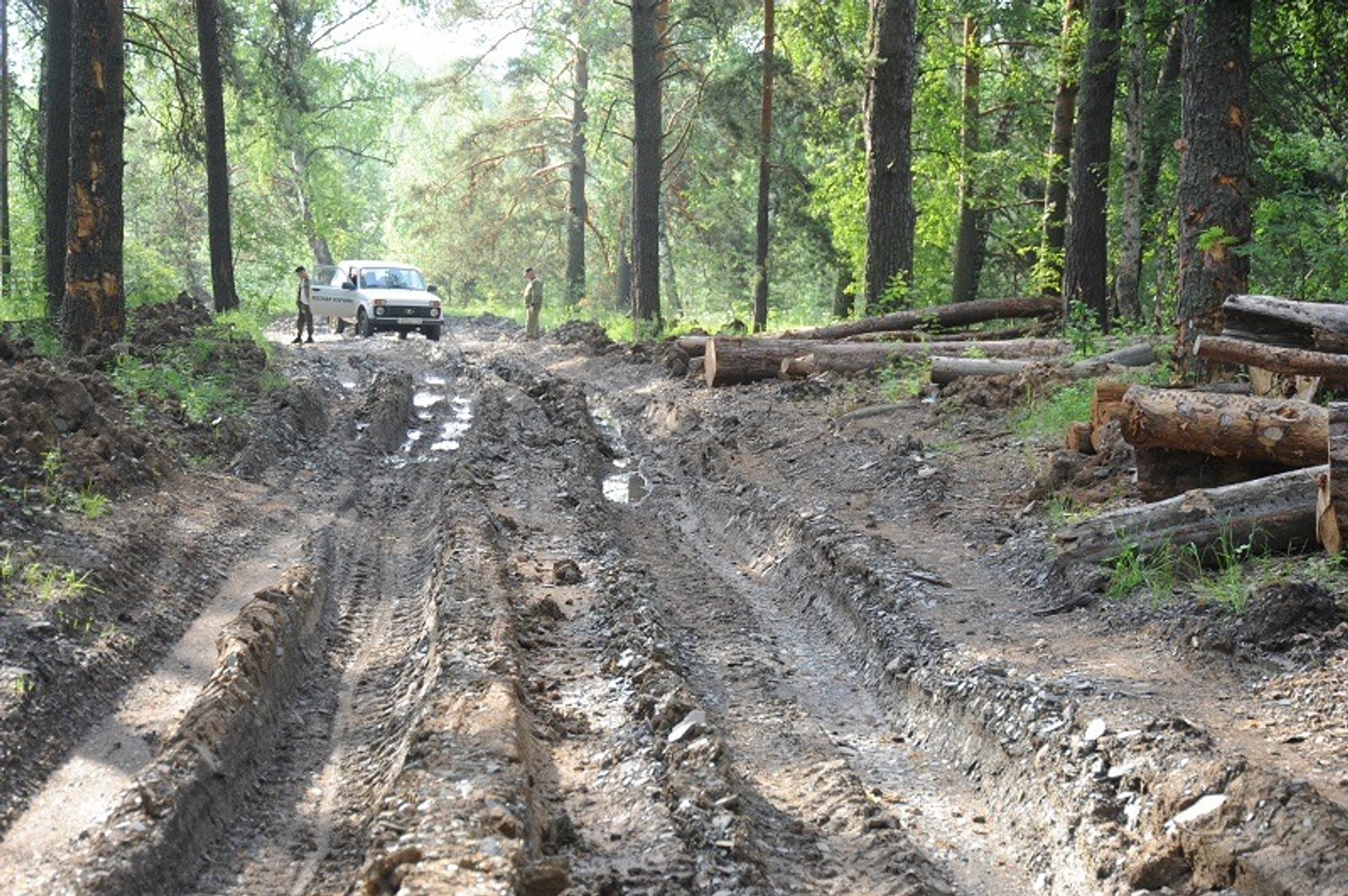 Ринат РАЗАПОВ.