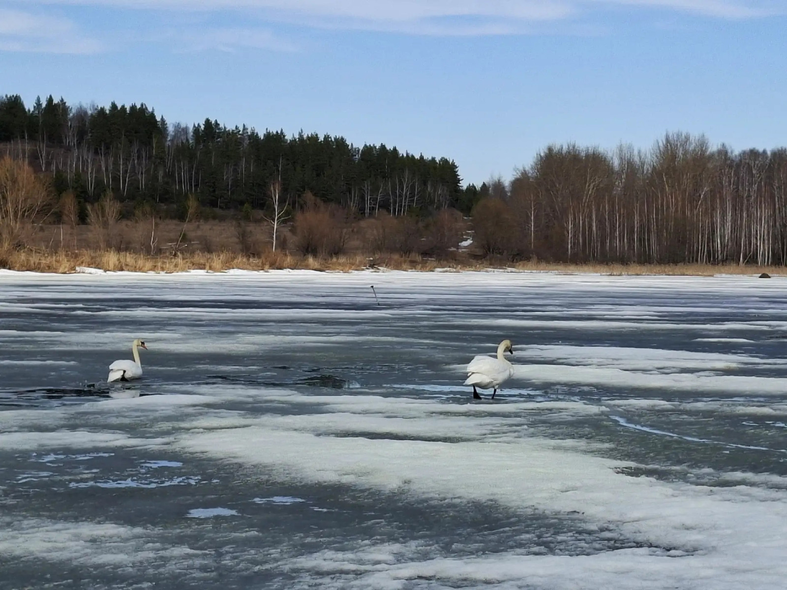 В Башкирии экотропу «Лебединая заводь» посетили 880 туристов