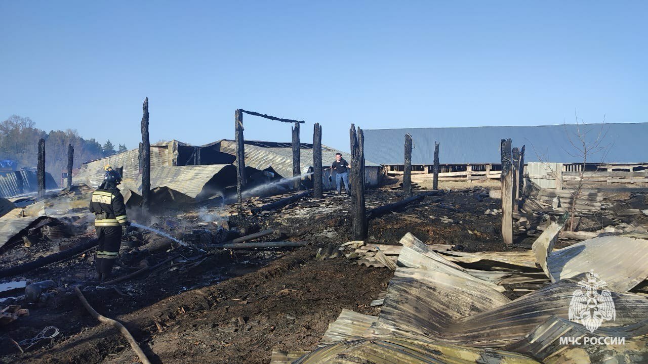 Больше ста животных сгорели во время пожара в Башкирии