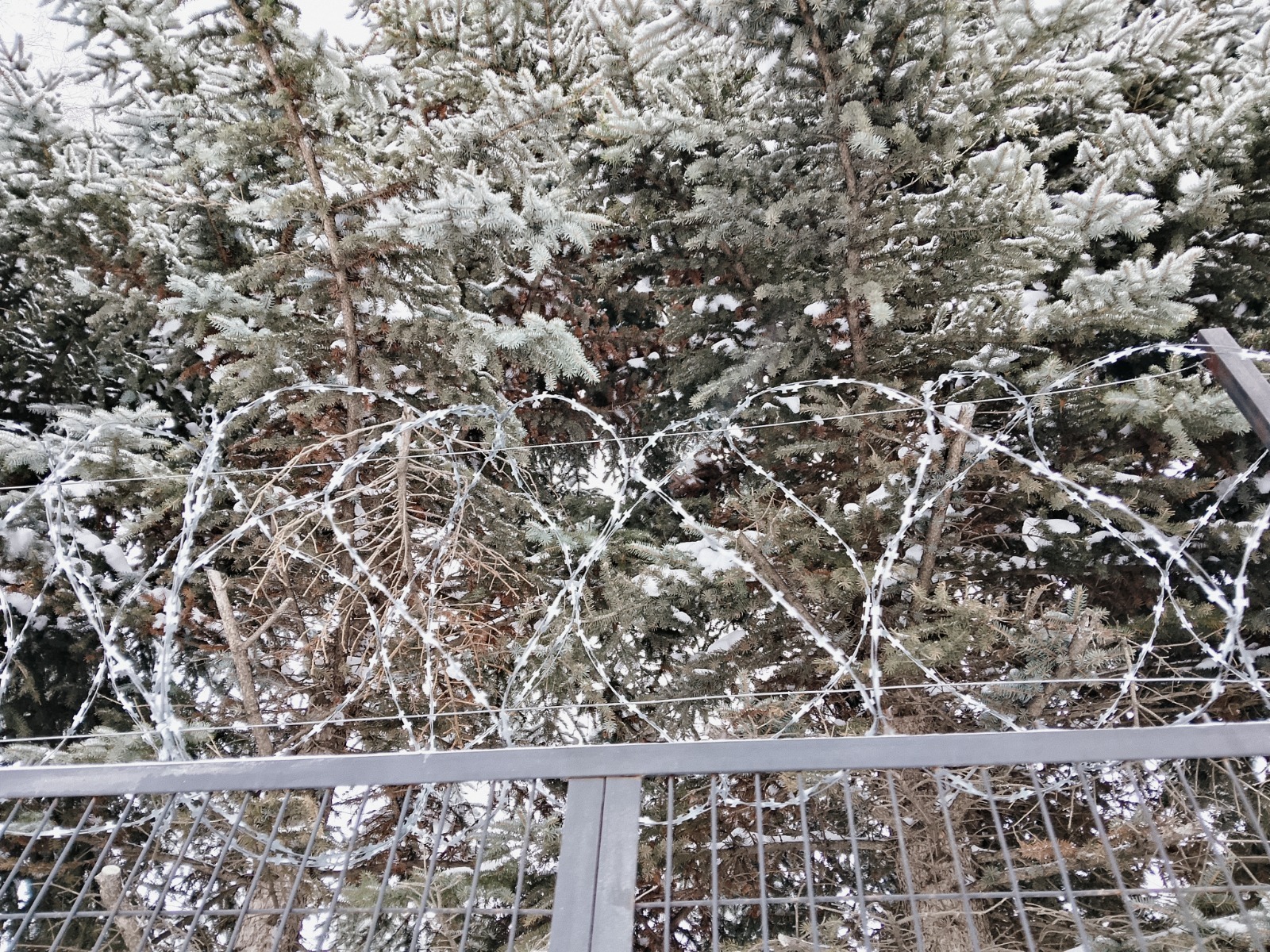 Вадим АНДРЕЕВ