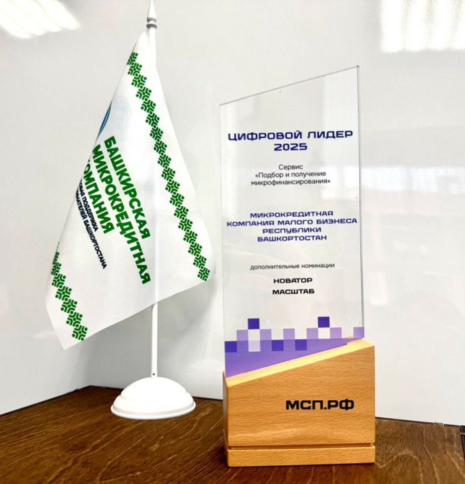 Башкирия вышла в лидеры по цифровой микрофинансовой поддержке