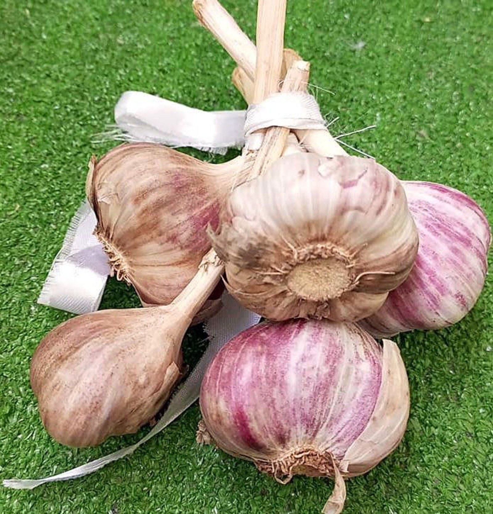 Артур СМОЛОВ