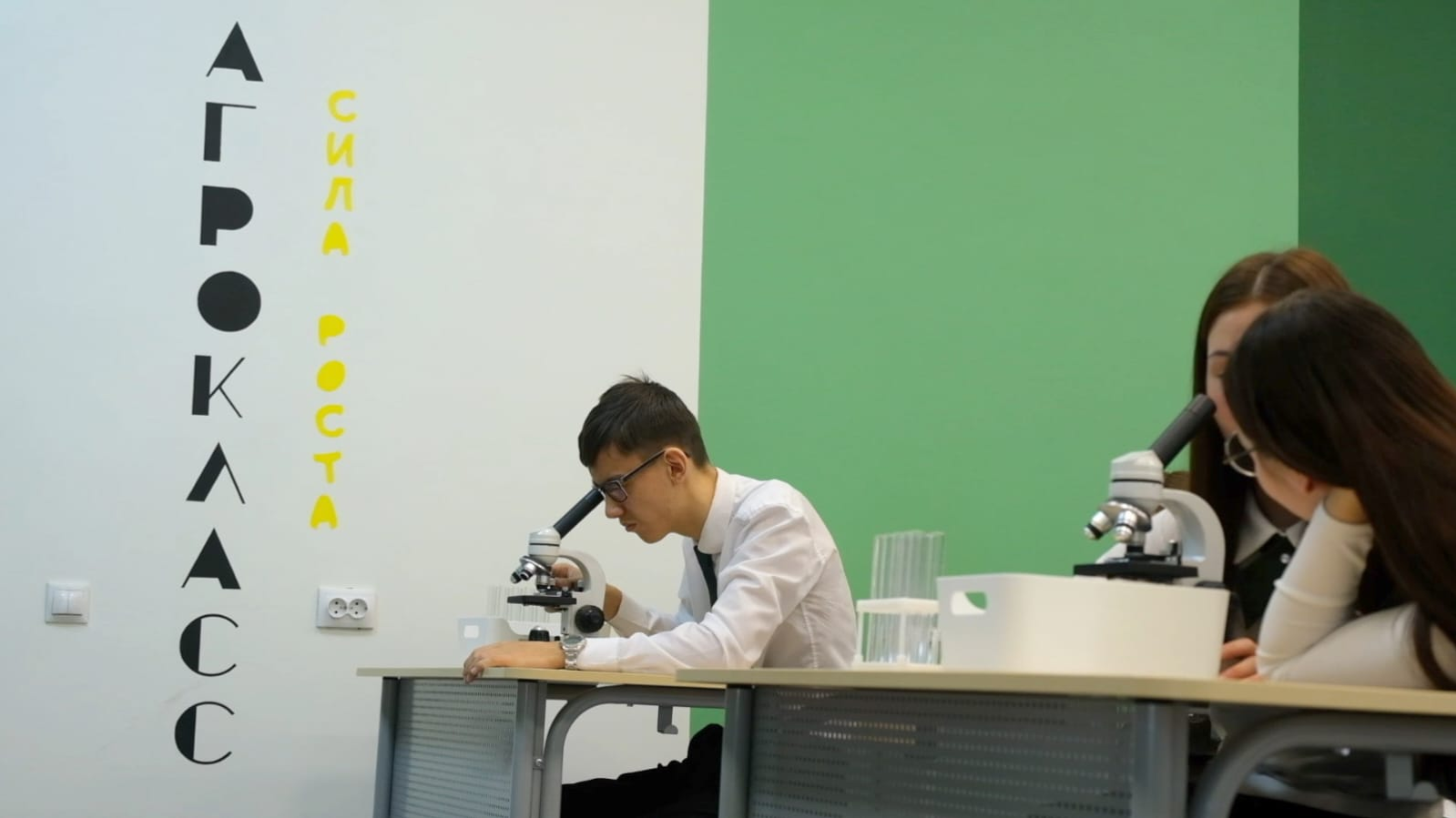 В Башкирии за создание агроклассов выплатят около семи миллионов рублей