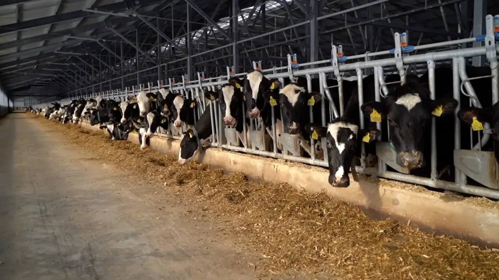 из соцсети Радия Хабирова.